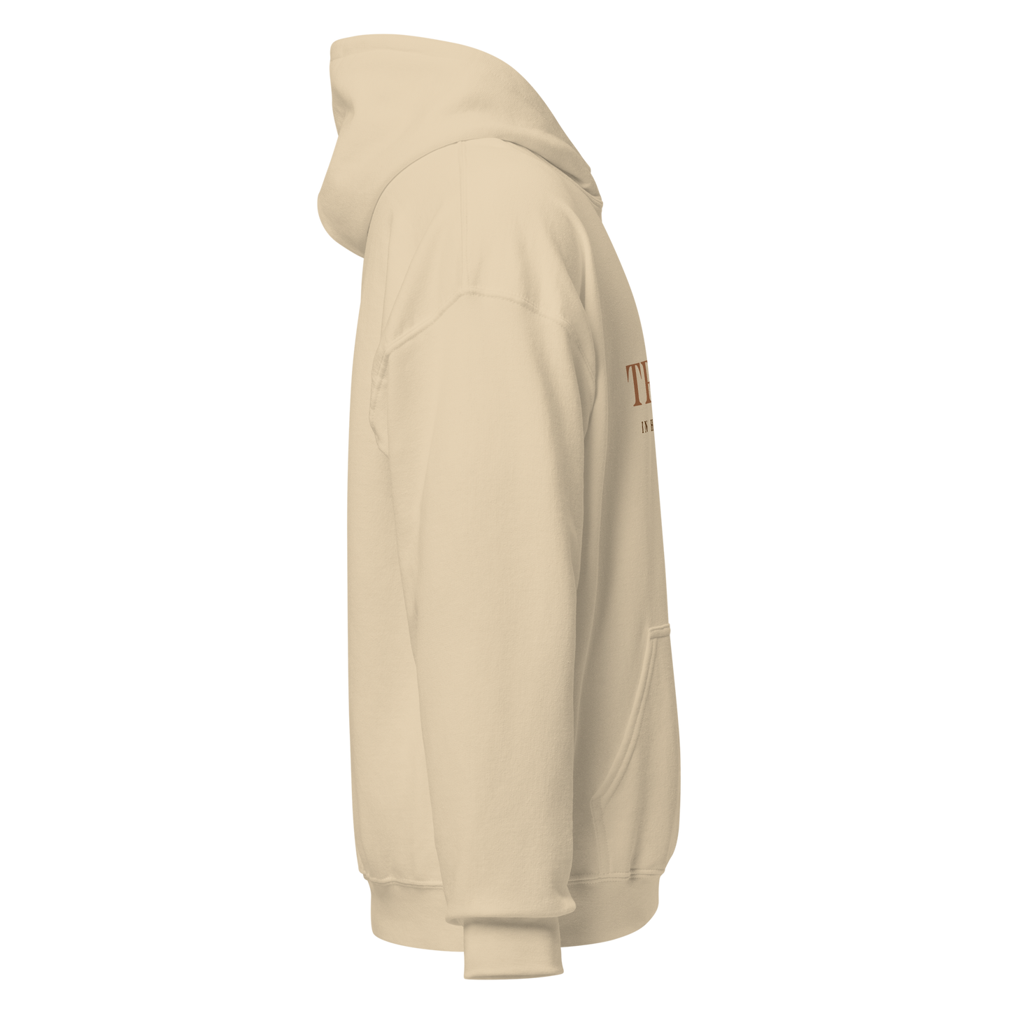 Unisex Hoodie - Trust in His Promise - BeFaithinStyle.