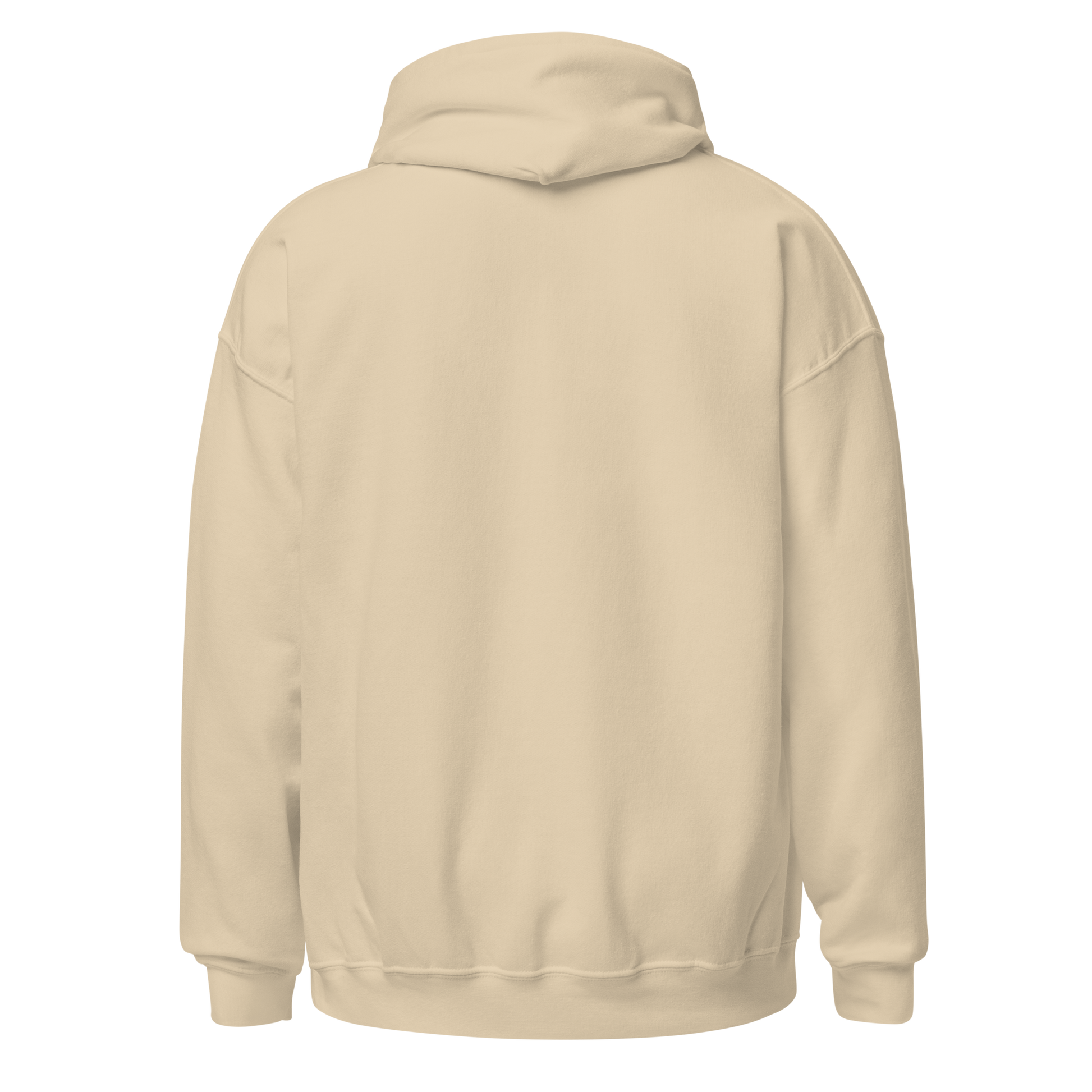 Unisex Hoodie - God Bless You -BeFaithinStyle.